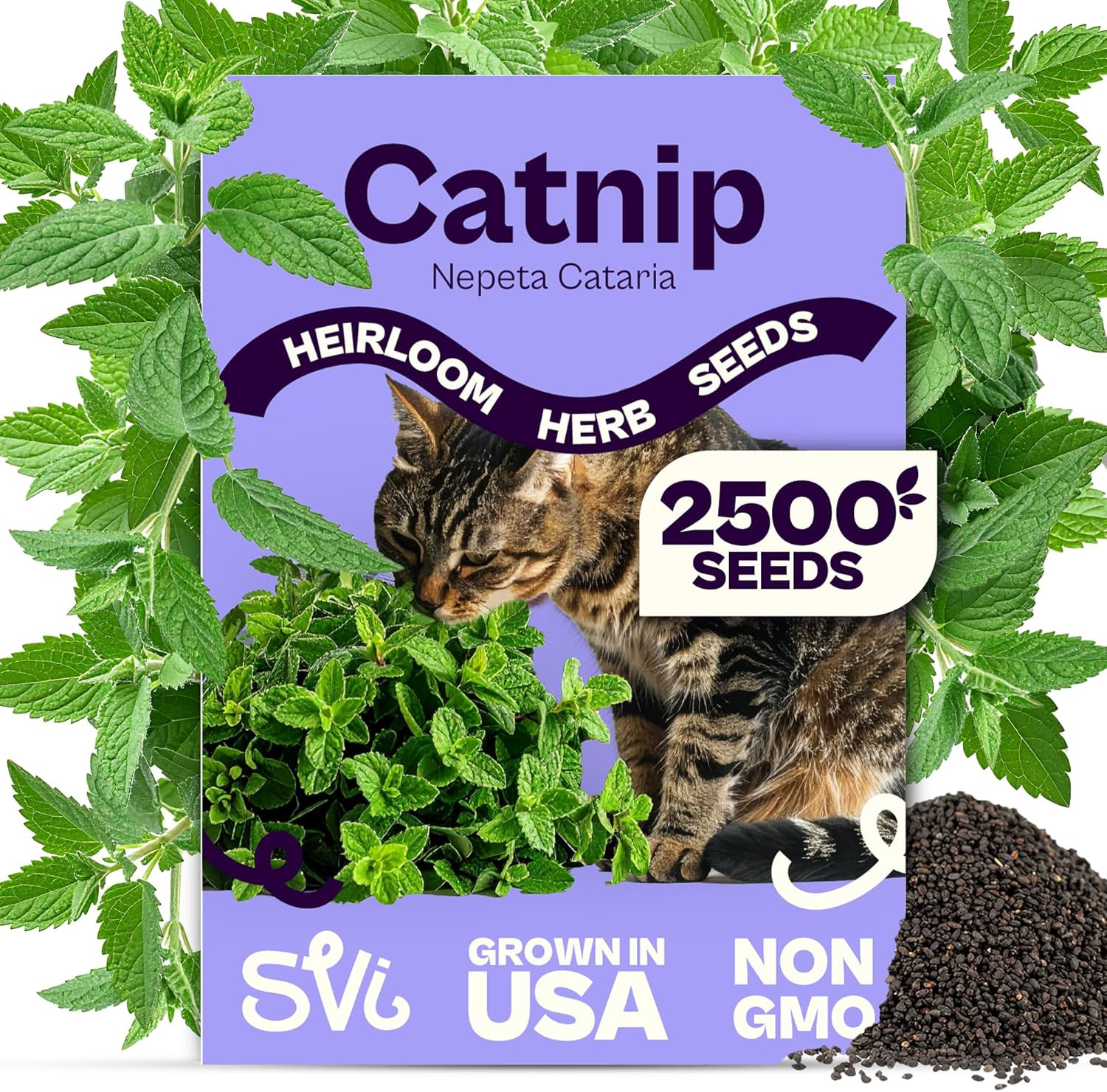 2500 Catnip Seeds (Nepeta Cataria) – Catmint, Best Catnip for Cats Seed Packets,