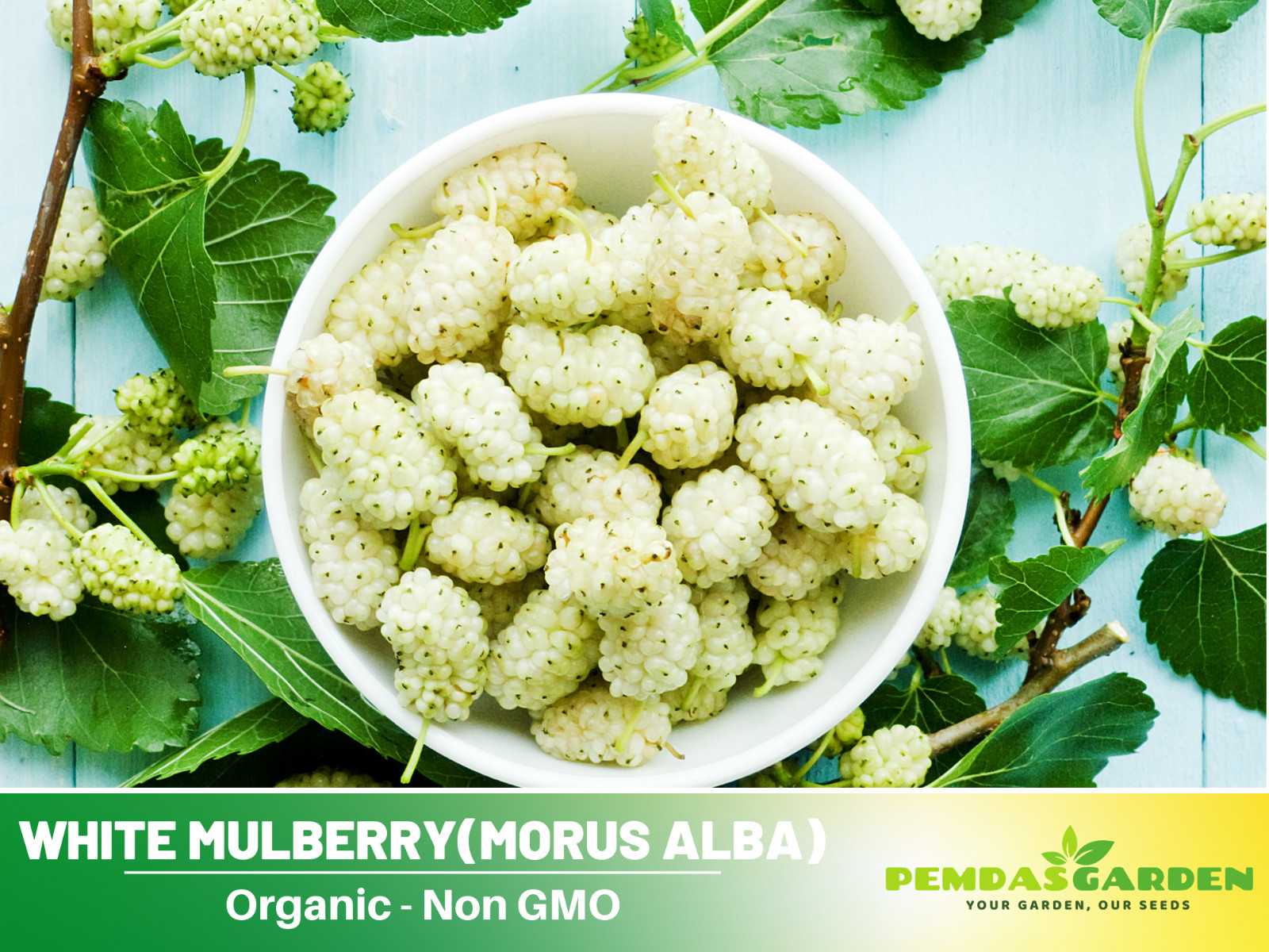 55 Seeds| White Mulberry Fruit Seeds #6032