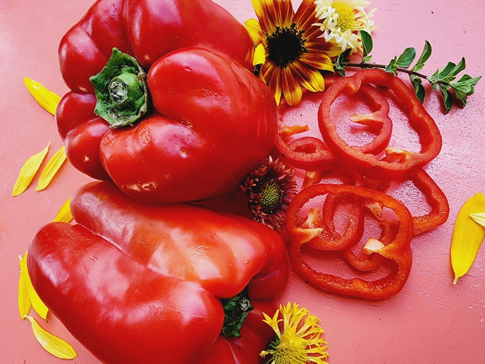 Chinese Giant Bell Pepper Seeds (20) / ORGANIC / FLORIDA GROWN