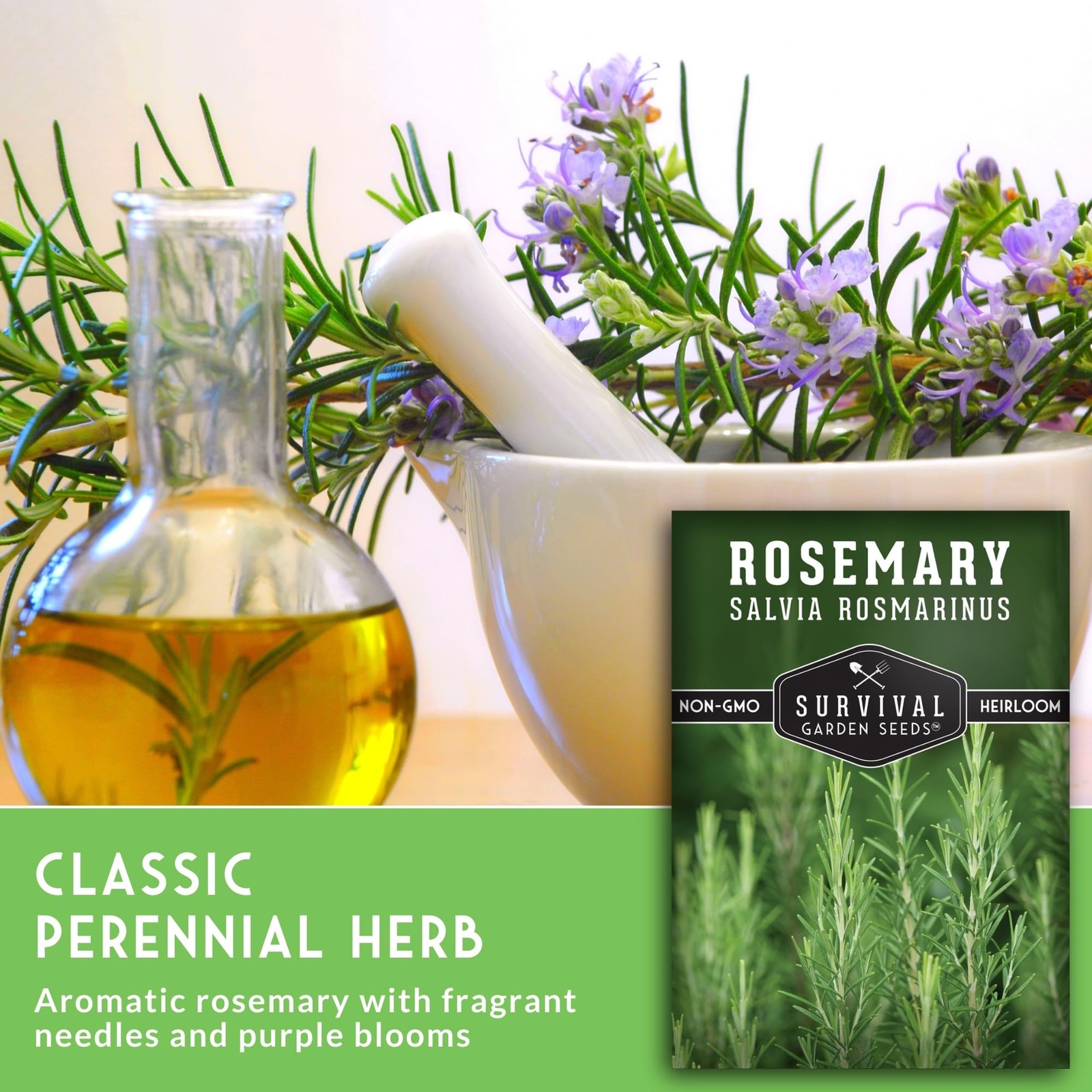 Rosemary Seeds for Planting – Heirloom Rosemary Herb Salvia rosmarinus for In…
