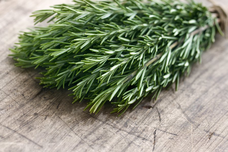 Certified Organic Rosemary Seed (100ct)