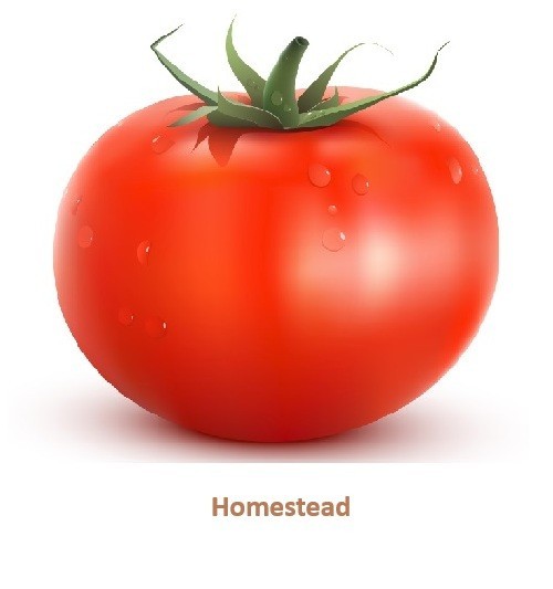 Heirloom Tomato Seeds Assortment – 8 Garden Favorites 200 total seeds