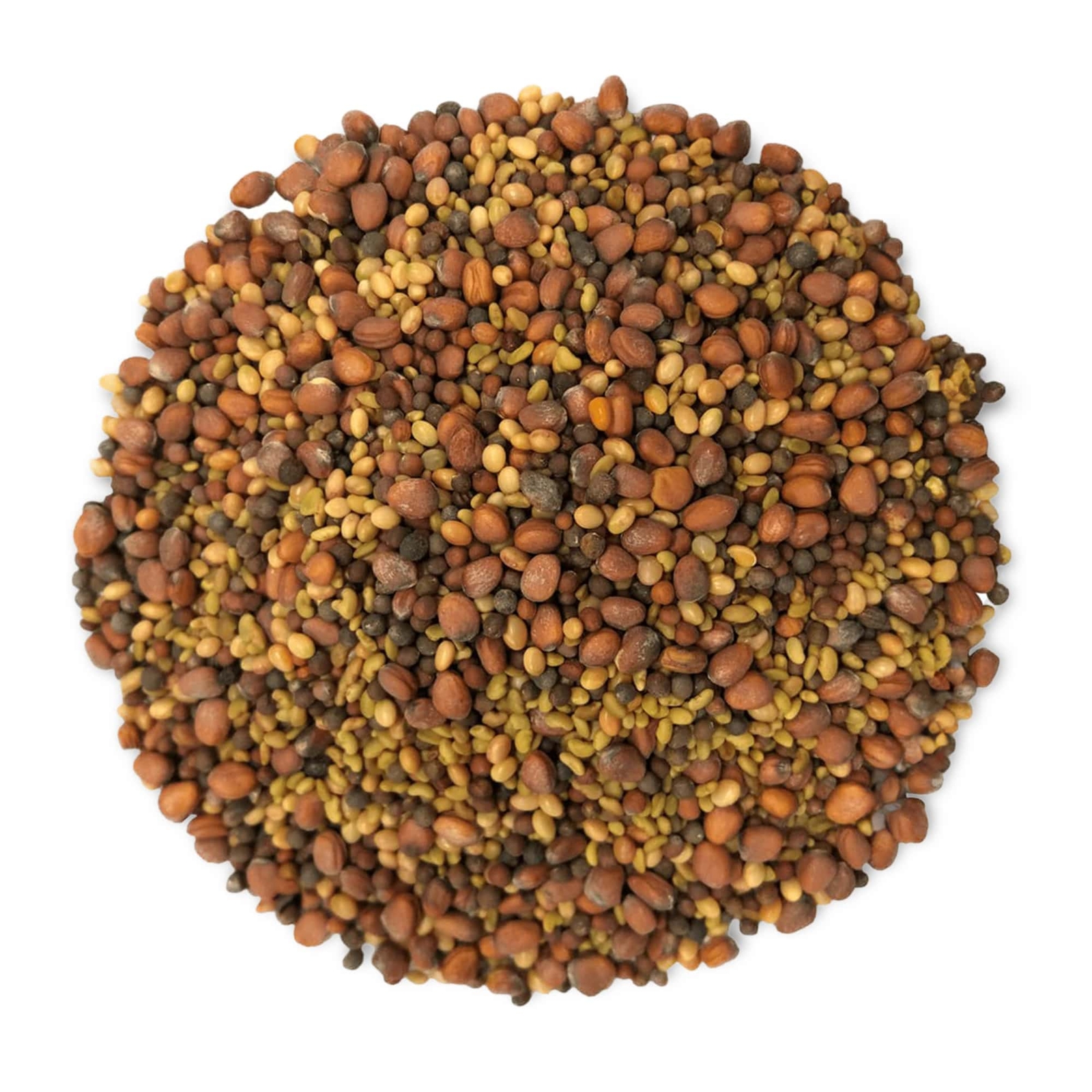 Salad Mix of Sprouting Seeds – Sproutable, Kosher, Raw, Vegan – by Food To Live