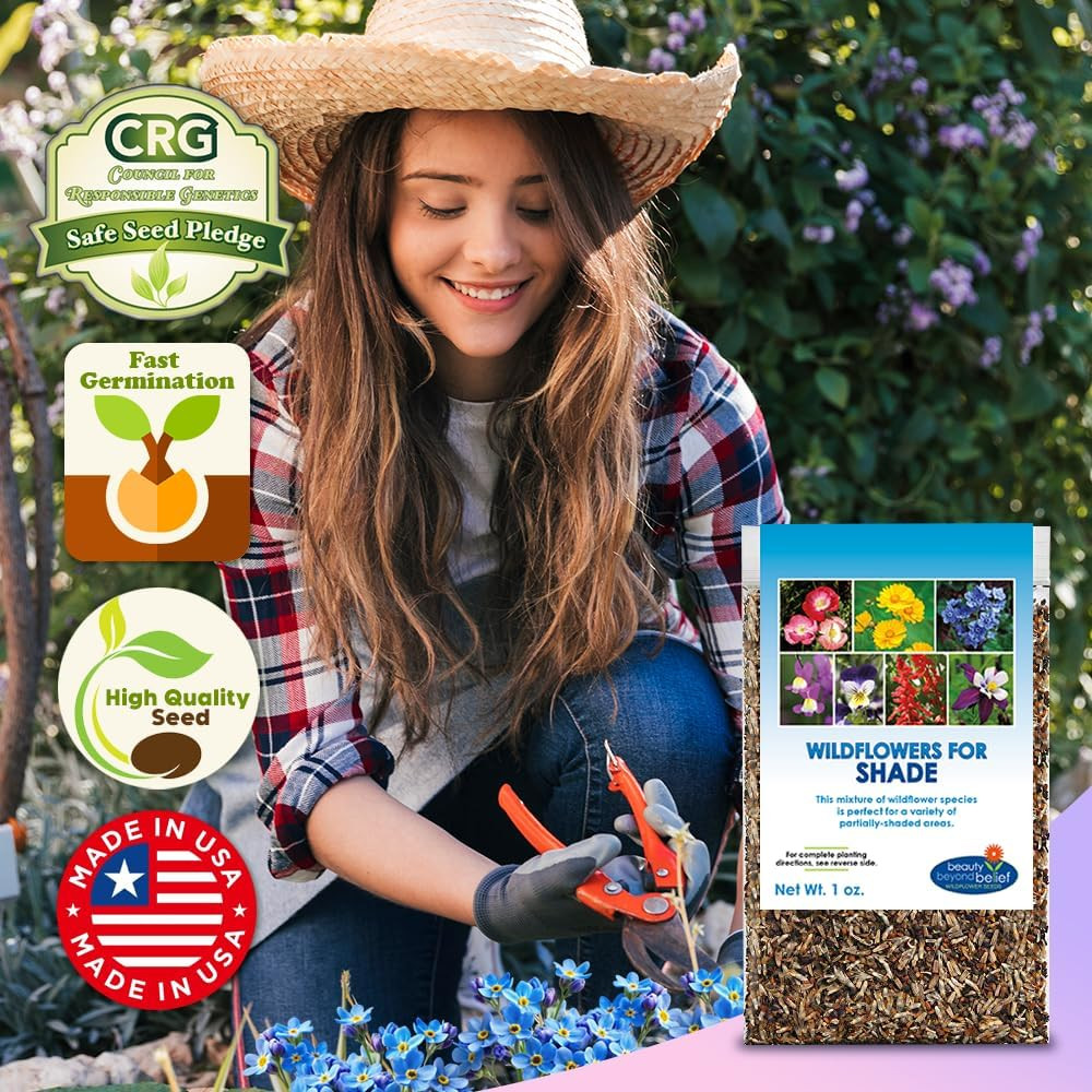 Wildflower Seed Mix for Partial Shade – 1 Oz, Annual & Perennial Blend