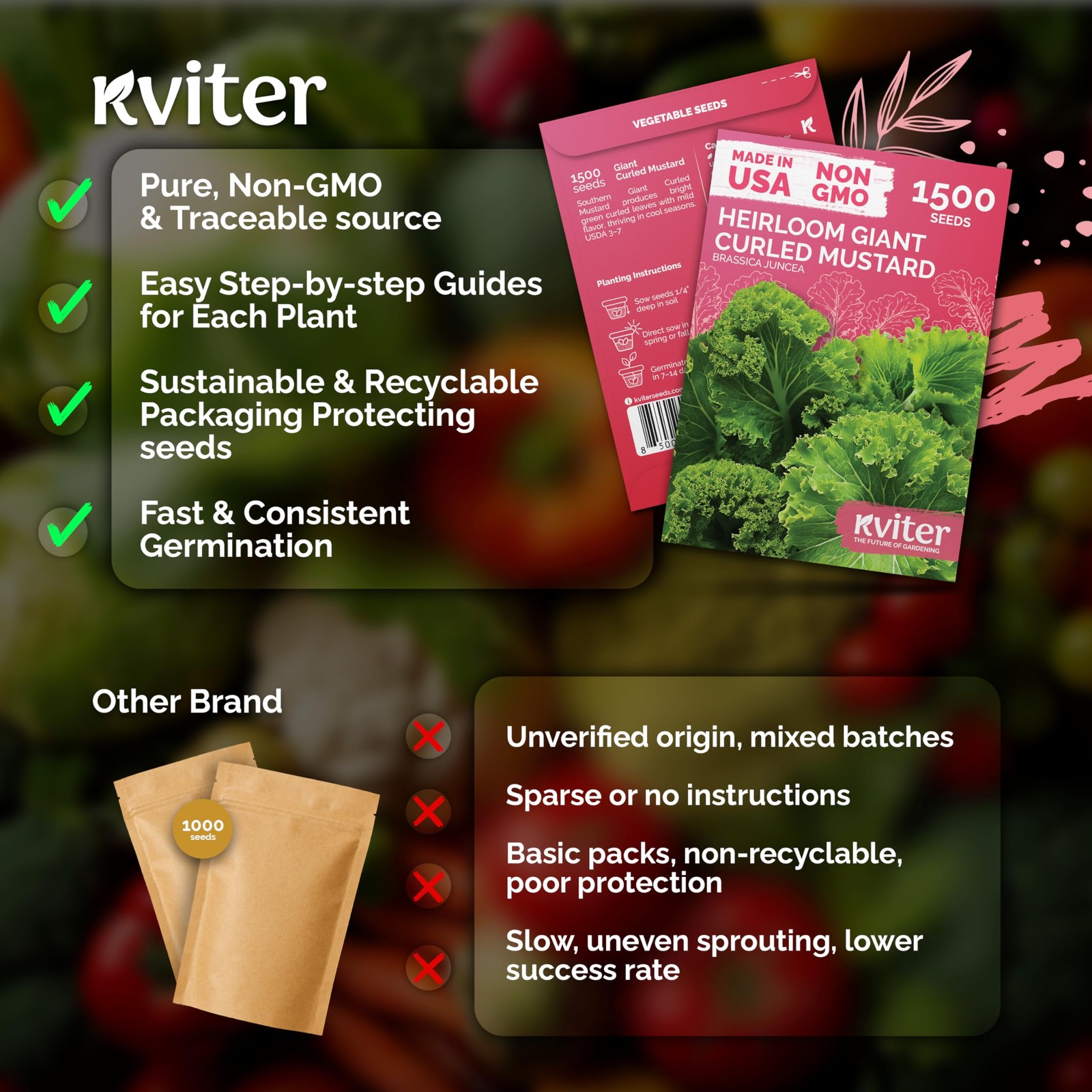 KVITER 1500 Southern Giant Curly Mustard Seeds (Brassica juncea)