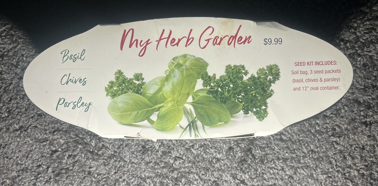 My Herb Garden Basil, Chives, Parsley Seed Planter Kit Kitchen Window Garden