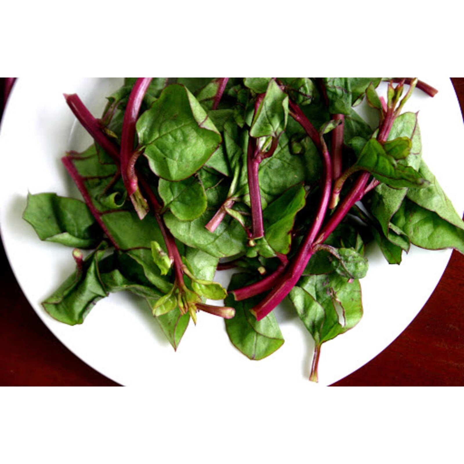 Red Stem Malabar Spinach Seeds Heat Tolerant, non bolting