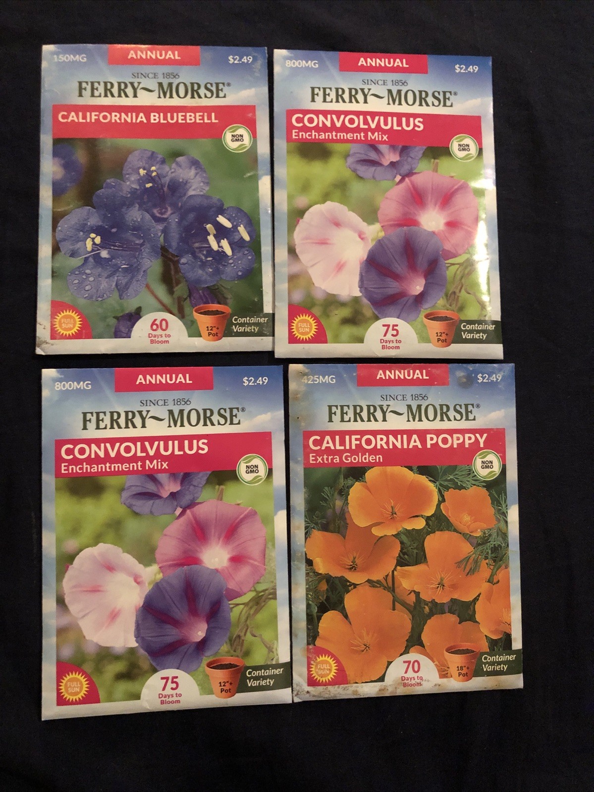 4 packs FERRY-MORSE ￼Flowers￼ Seeds – CA Bluebell, 2 Convolvulus, CA Poppy 2026