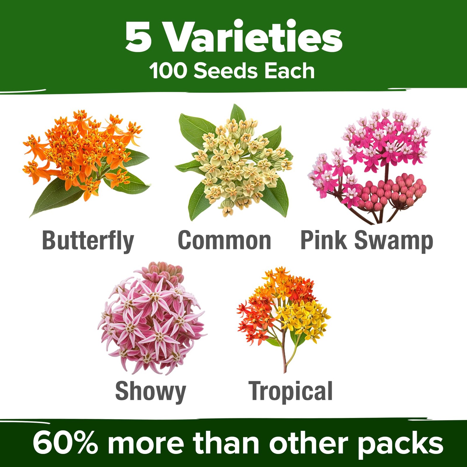 Milkweed Flower Seeds – 500+ Heirloom Perennial Wildflower Seeds (5 Individua…