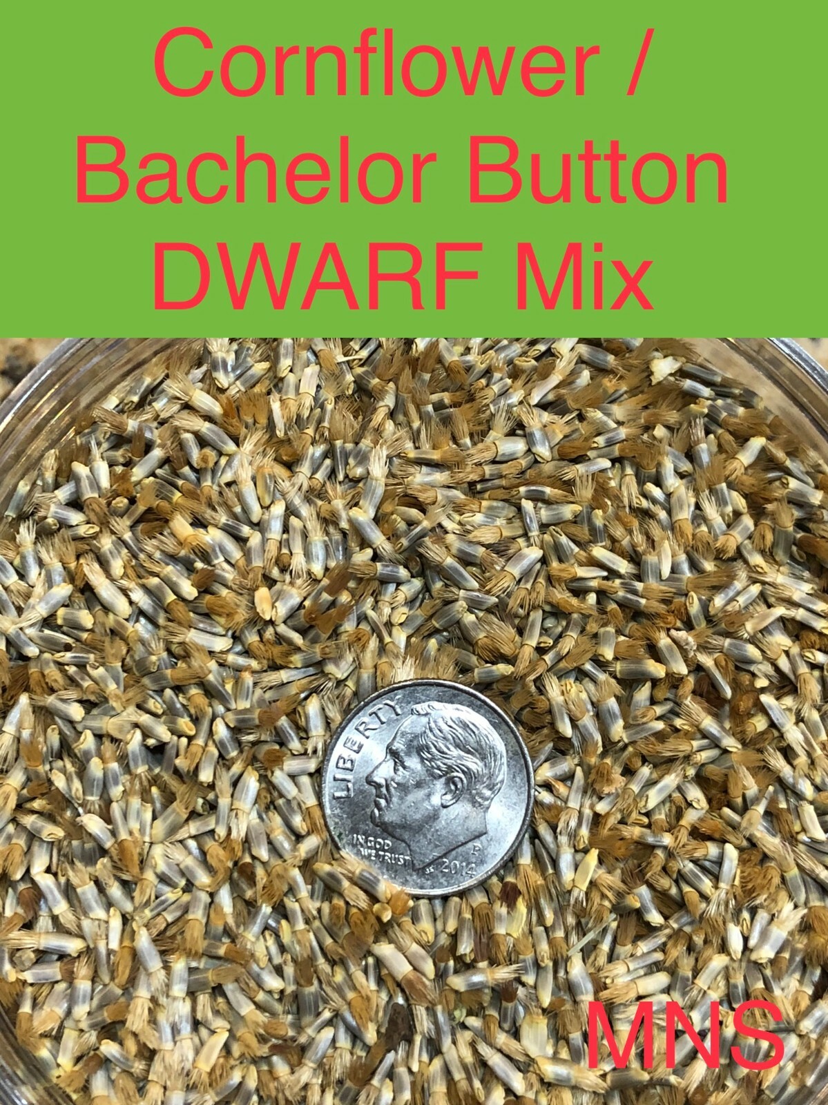 Landscaper’s Pack Cornflower Bachelor Button DWARF MIX Non-GMO 1500 Seeds!