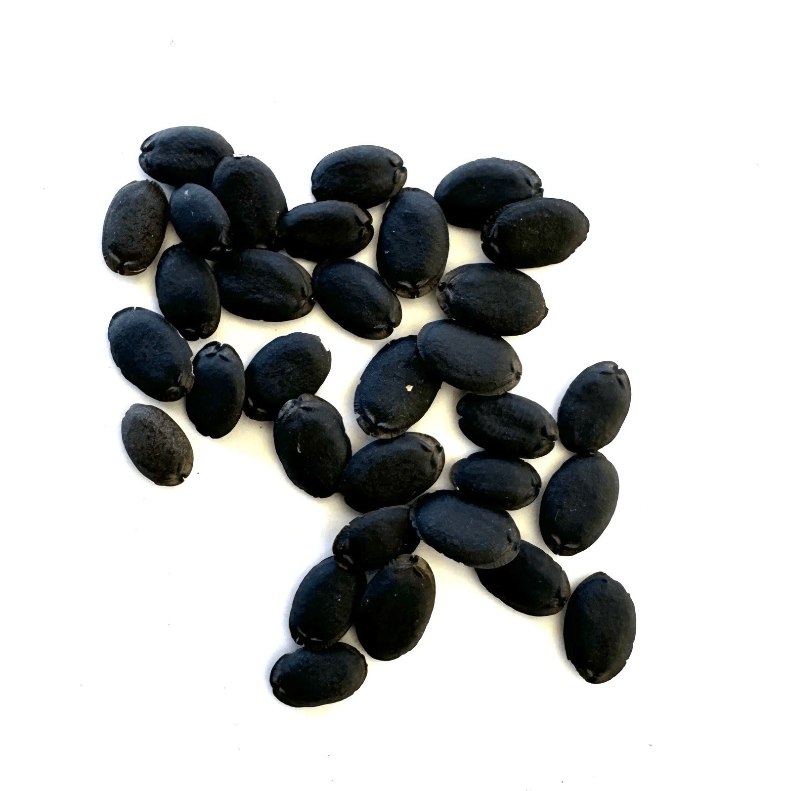 Luffa gourd seeds