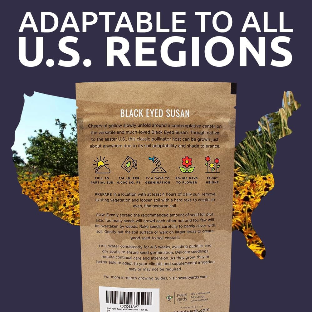 Black Eyed Susan – Bulk Quarter Pound Bag – over 400,000 Open Pollinated Non-Gm