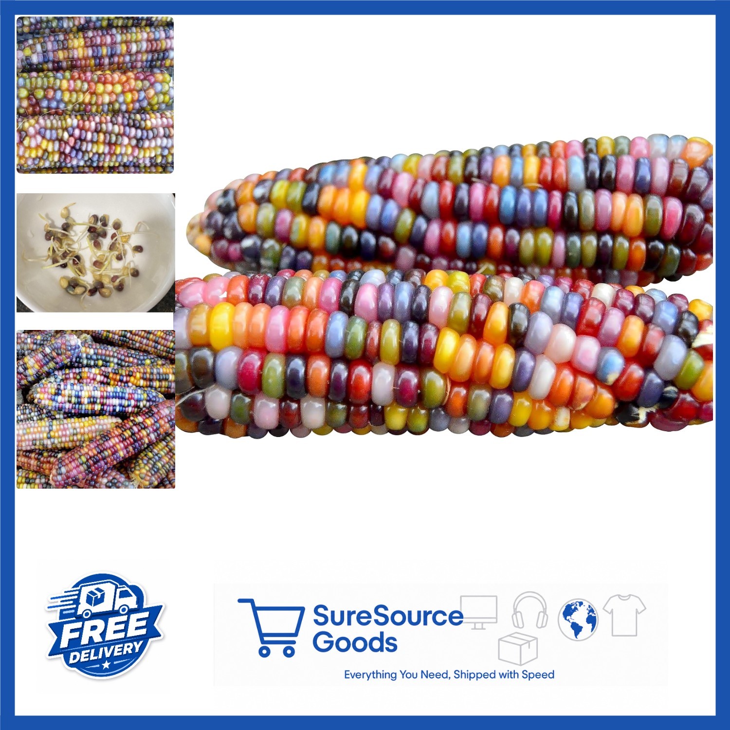 Jewel-Toned Glass Gem Corn Seeds 100 Count Non-GMO for Edible and Ornamental Use
