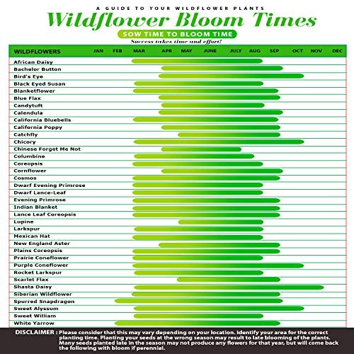 Wildflower Seeds – Premium Flower Seeds [1/4 Pound] Garden Seeds for Perennial
