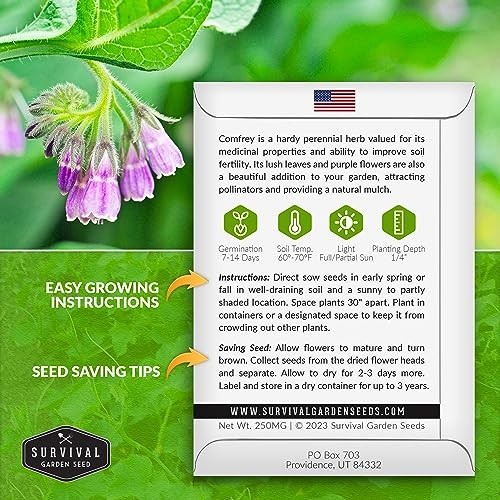 Comfrey Seeds for Planting – Symphytum Officinale Medicinal Perennial Herb for C