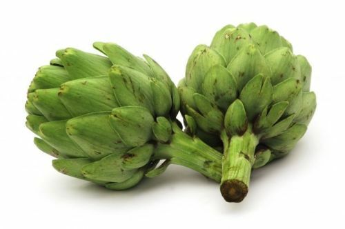 Artichoke Green Globe Garden Vegetable Heirloom By Seed Kingdom 1,000 Seeds