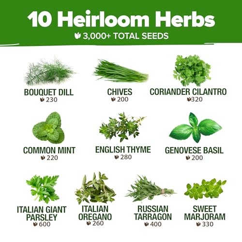 10 Herb Seeds for Planting 3,000+ Non-GMO Heirloom 10-Pack Herb Seed Vault