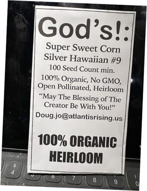 100% Organic, Silver, Hawaiian #9, Super, Sweet Corn, Heirloom, Open