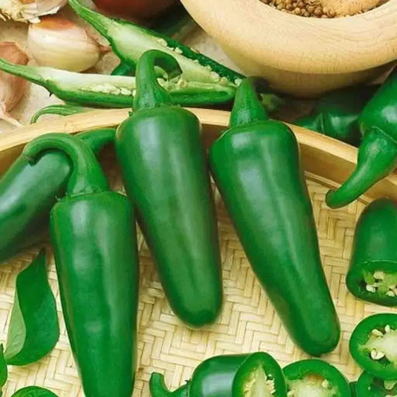 50+ Early Jalapeno hot Pepper Seeds | NON-GMO | Heirloom |