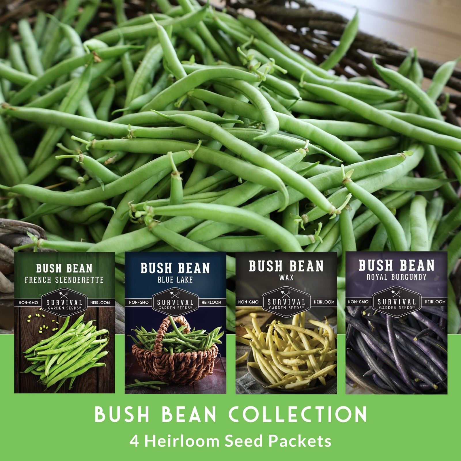 Bush Bean Seeds for Planting – Survival Garden Seeds | 4 Heirloom Snap Bean V…