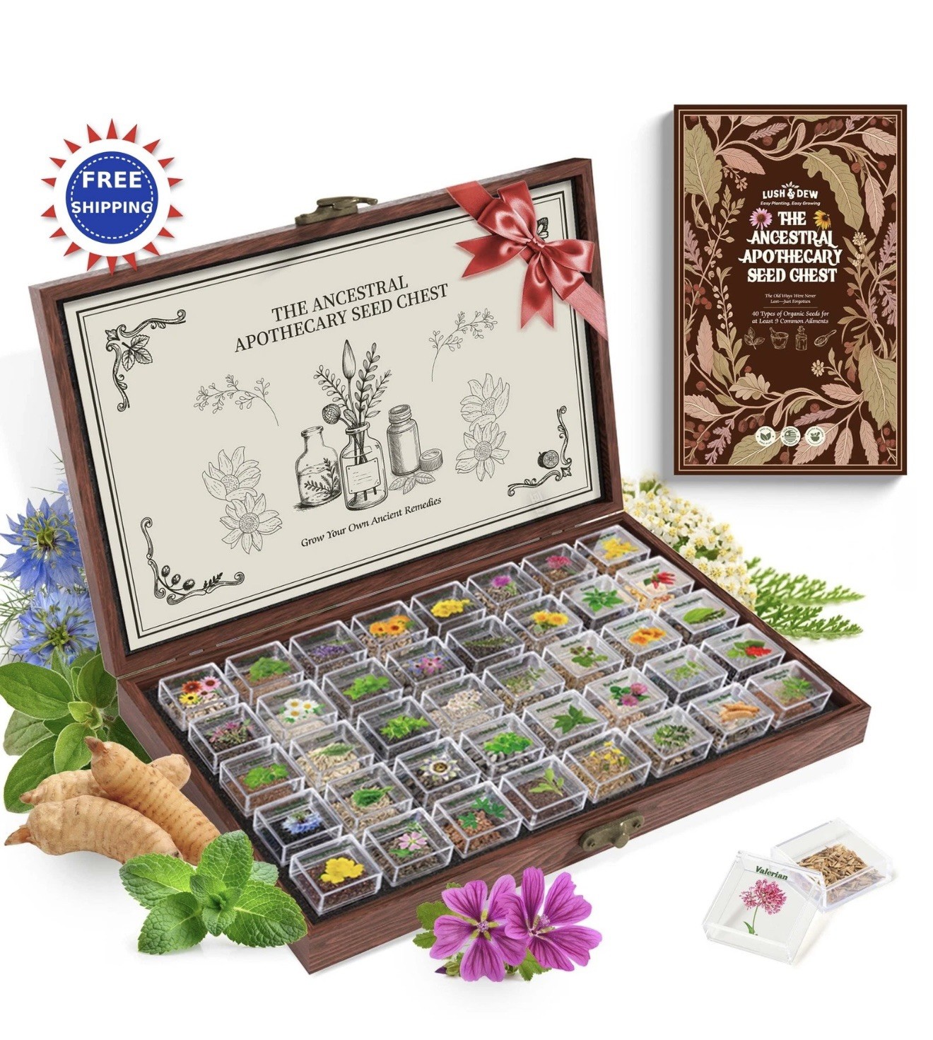 Medicinal Herb Seed Chest 36 000+ Non GMO Survival Kit Lush&Dew Ancestral Gifts