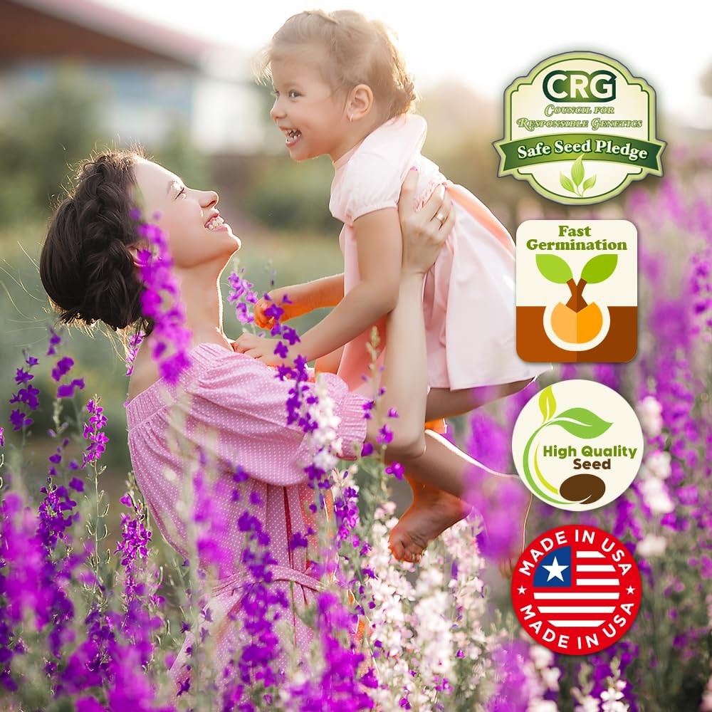 Rocky Mountain Wildflower Seed Mix 1oz – Premium Wildflower Seed Mix for High…