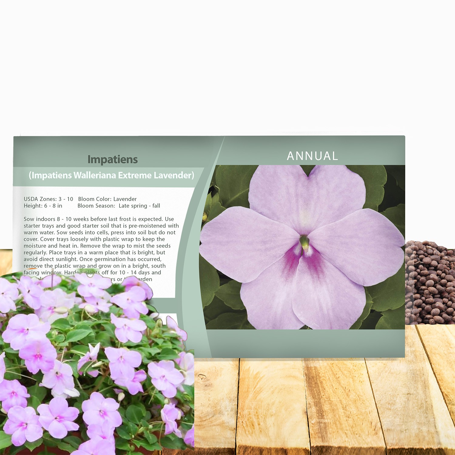 100 Seeds Lavender Impatiens Seed For Planting – Extreme Lavender Impatiens