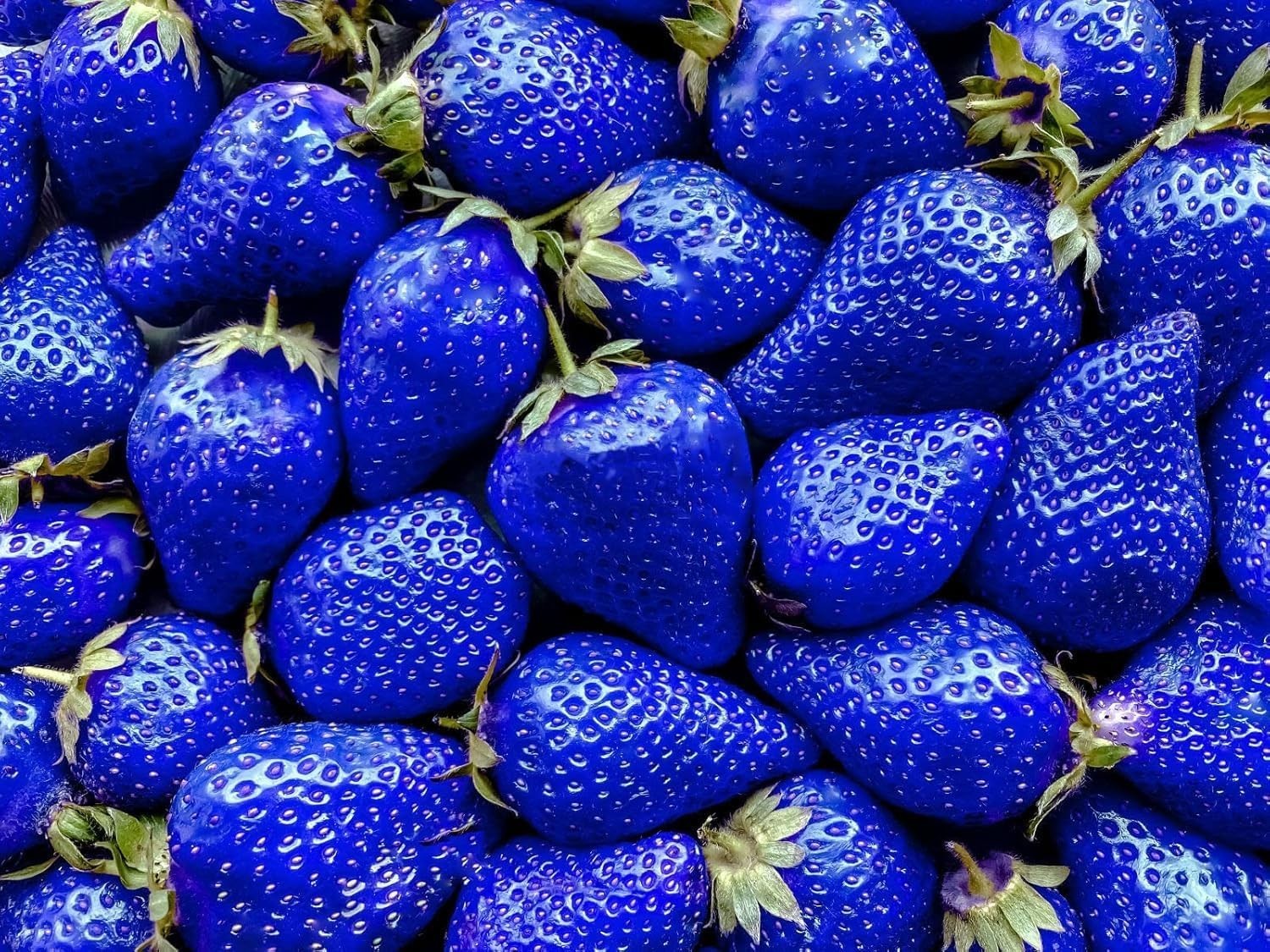 800 Mixed Strawberry Seeds – 4 Colors – Non-GMO Heirloom Perennial Seeds for Pla