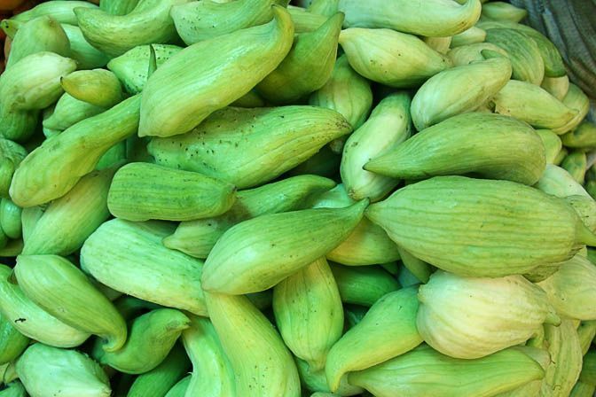 Cyclanthera pedata STUFFING CUCUMBER Seeds!