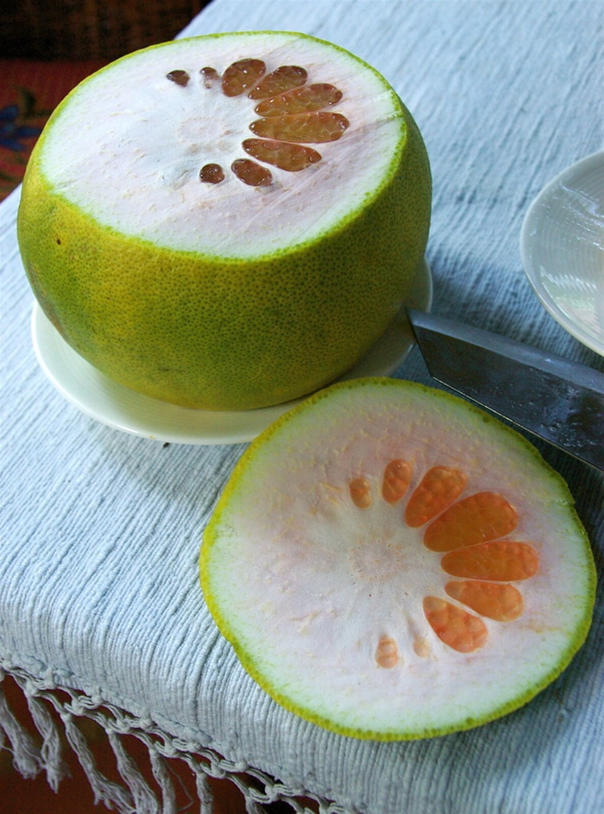 Dwarf Organic Pomelo Citrus {Citrus Maxima}5 seeds Free Shipping!