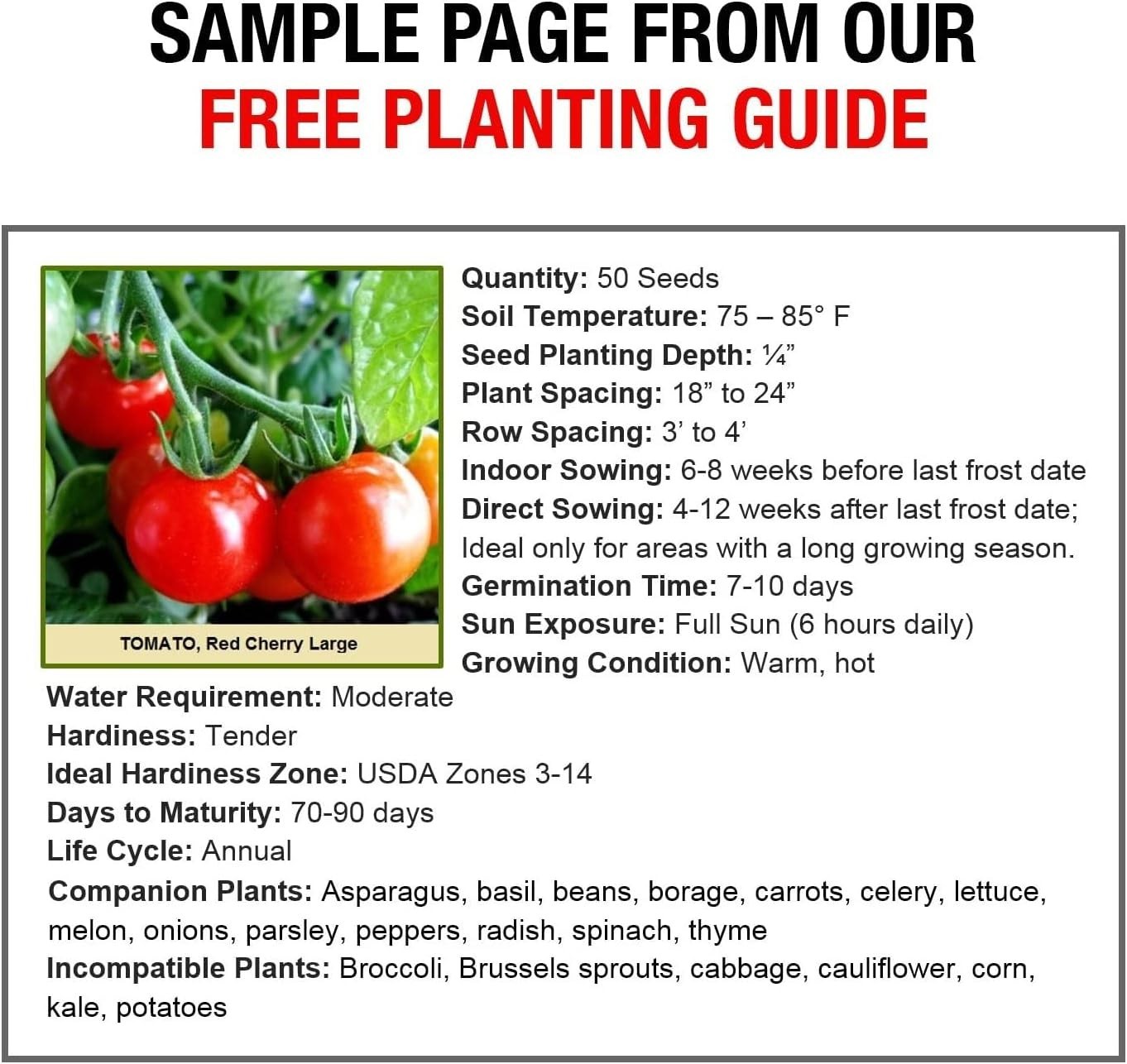 Heirloom Survival Garden Seeds: 105 Non-GMO Varieties, 25+ Yr Shelf Life, Amm…