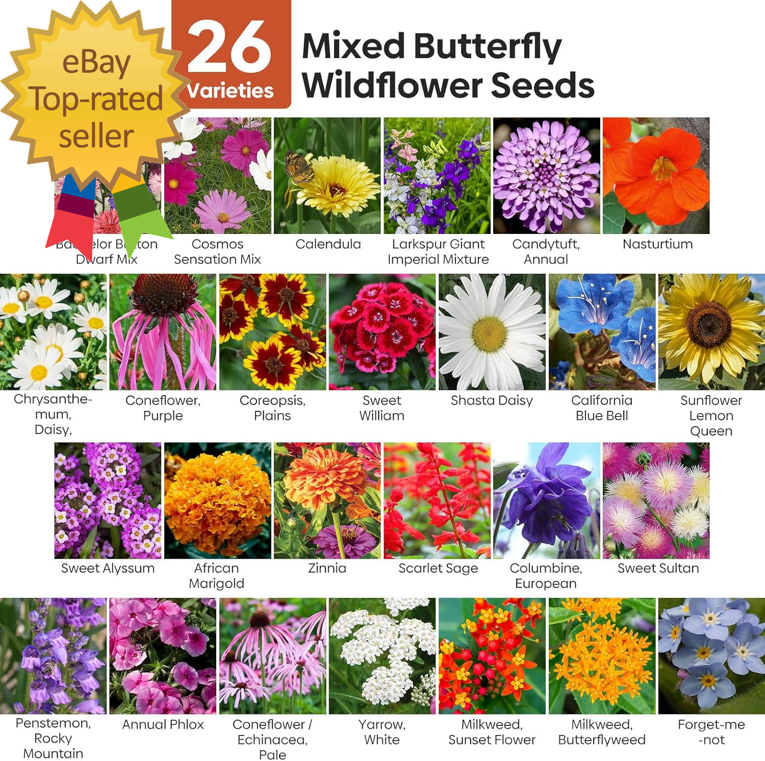 Attracts Pollinators Plant in Spring or Fall Zones 3 to 9 unique for Easy use