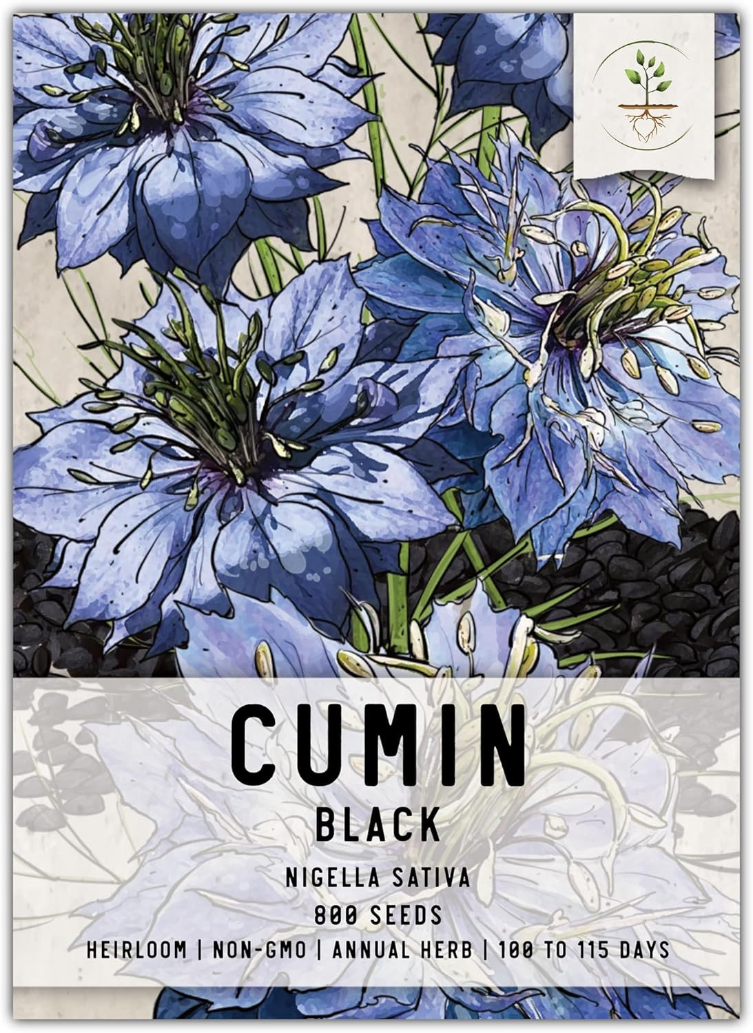 Needs, Black Cumin Seeds – 800 Heirloom Seeds for Planting Nigella Sativa – N…