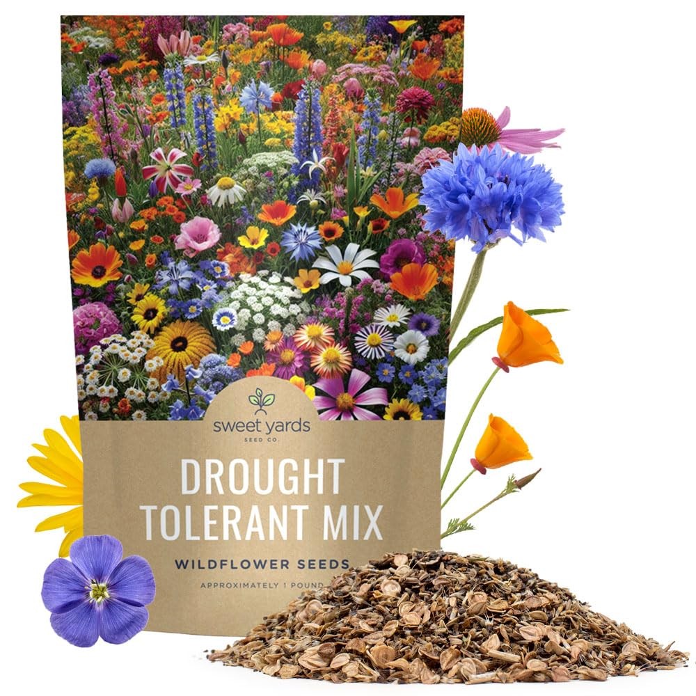 Drought Tolerant Wildflowers Mix – Bulk 1 Pound Bag – Over 120,000 Open Polli…