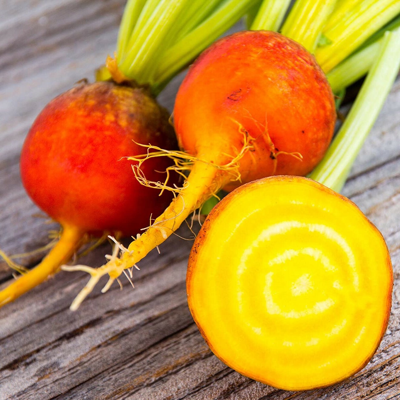 Golden Beet Seeds | Yellow Beetroot Orange Beets Gold Turnip Vegetable Seed 2022