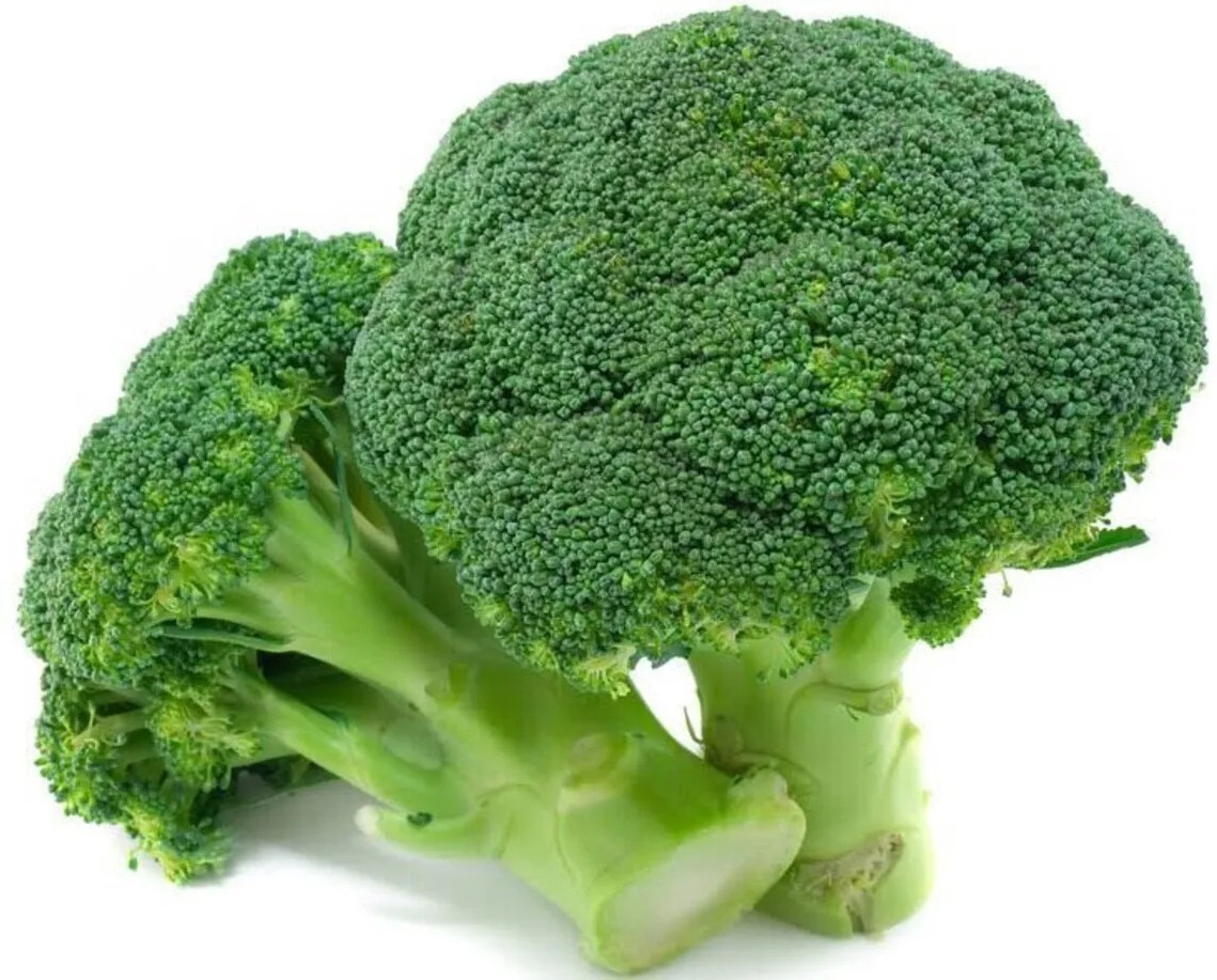 50+ BROCCOLI SEEDS – WALTHAM 29 — HEIRLOOM – ORGANIC – NON GMO —– FRESH