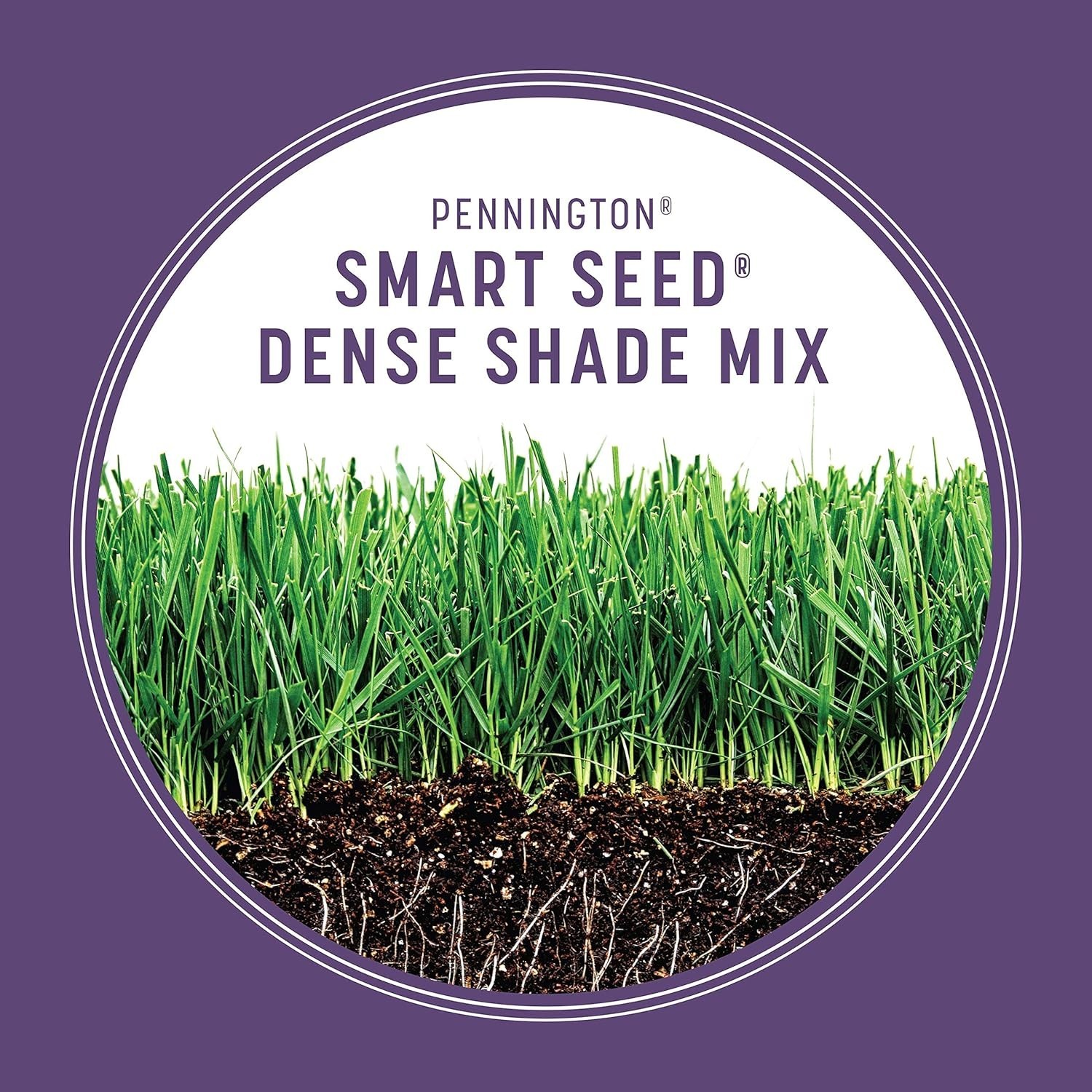 Shade Grass Seed 7 lb Dense Tall and Fine Fescue for Low Sunlight Lawns