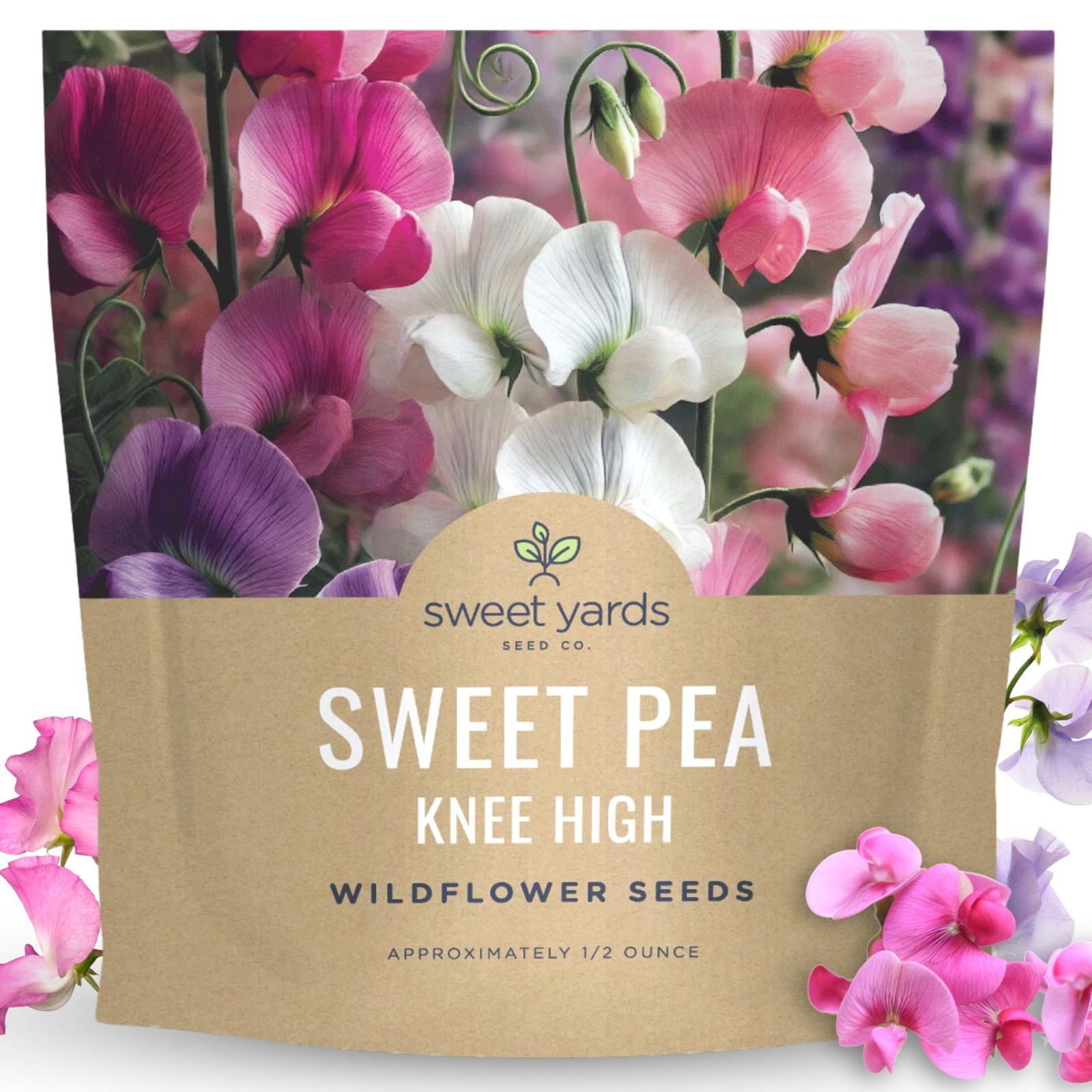 150 PCS Sweet Pea Knee High 1/2 Ounce Flower Seeds Planting Lathyrus Odoratus