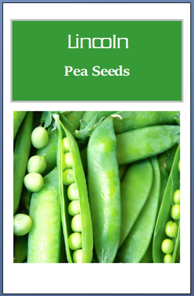 Lincoln Pea Seeds | NON-GMO Pea Seeds | Fresh Heirloom Garden Seeds