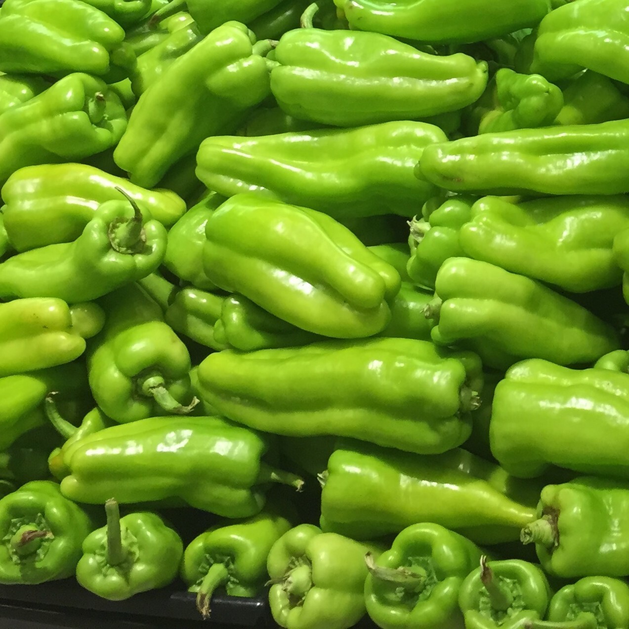 Cubanelle Pepper Seeds, Mild Flavor, Productive Plant, Non-GMO, Free Shipping