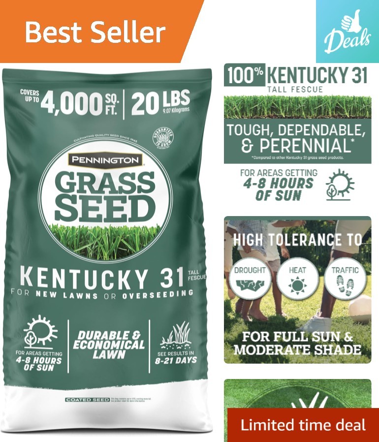 Pennington Kentucky 31 Tall Fescue Grass Seed 20 lb – Drought-Resistant Turf