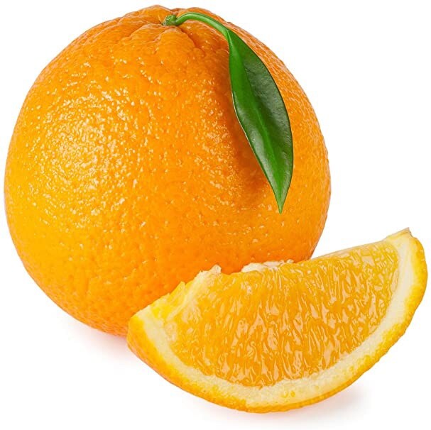 Hamlin Orange Tree, 1-2 feet tall, grafted, No Ship Az, Ca, Fl, La, Tx, Hi, Ak