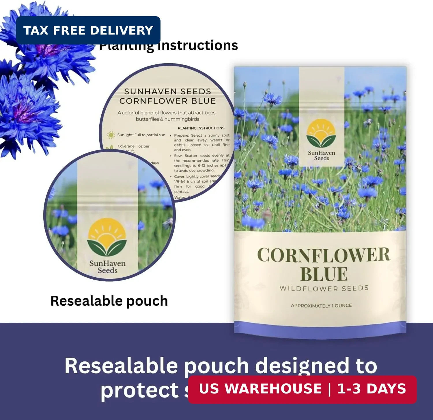 Bachelor Button Seeds – Blue Cornflower – 5,500+ Seeds – 1 oz Bulk Extra Large R