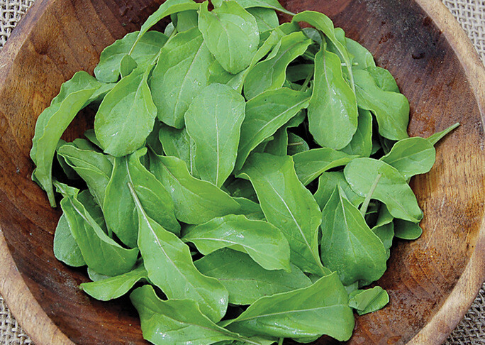 1/4 oz 3500+ ASTRO ARUGULA seeds; heirloom non-GMO; USA