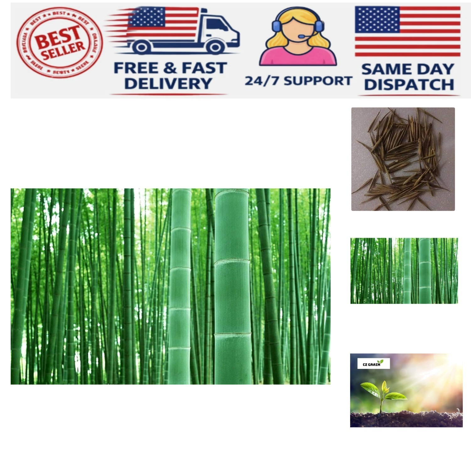 100+ GMO-Free Giant Timber Bamboo Seeds for Rapid Growth & Privacy in Any Garden