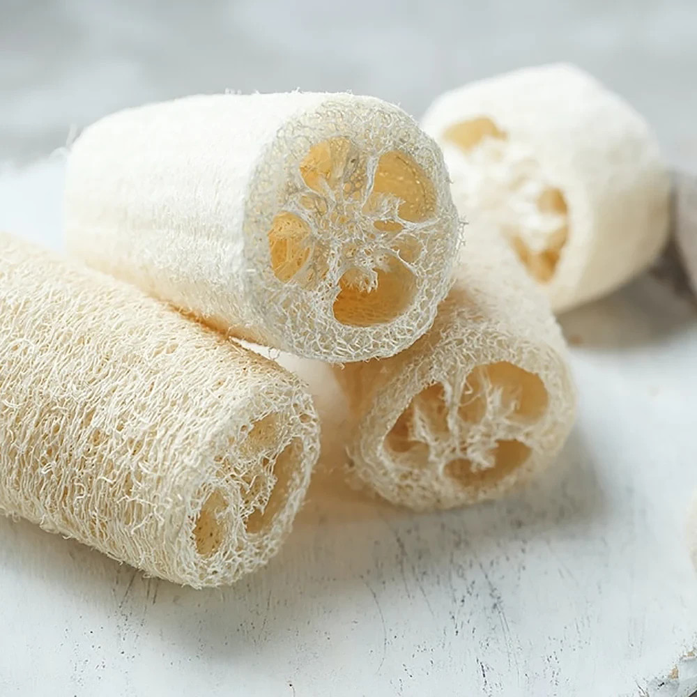 75pcs Super Long Luffa Gourd Seeds – Non-GMO, Loofah Sponge Gourd Seeds