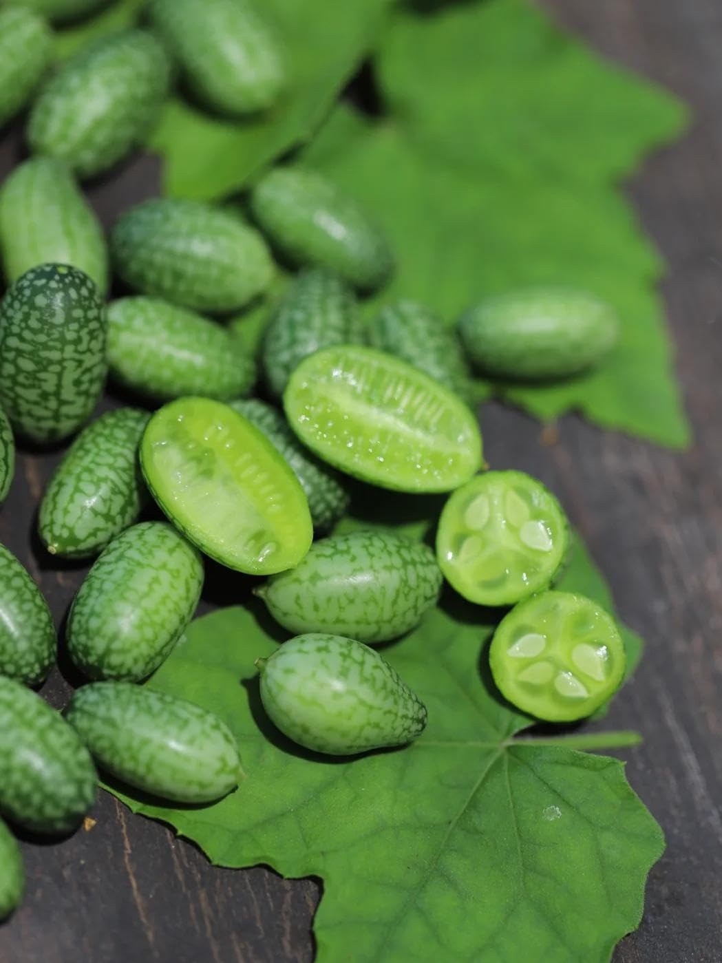 80 Count Premium Cucamelon Seeds for Planting – Rare Mini Thumb Watermelon, Mexi