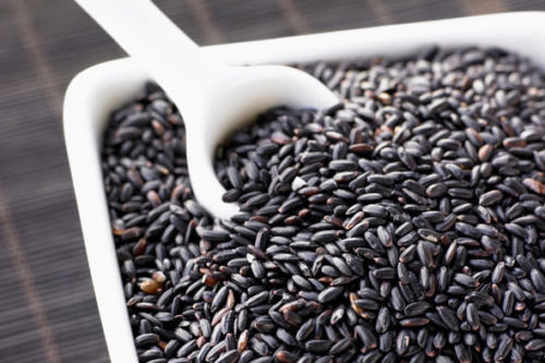 Black, Red rice seeds Forbidden nutty flavor easy to grow organic plants viable!