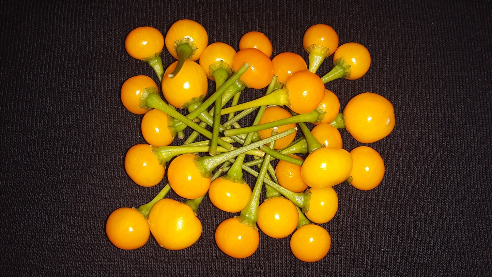 50+ Aji Charapita pepper seeds Peruvian Organic Non-gmo Open Pollinated