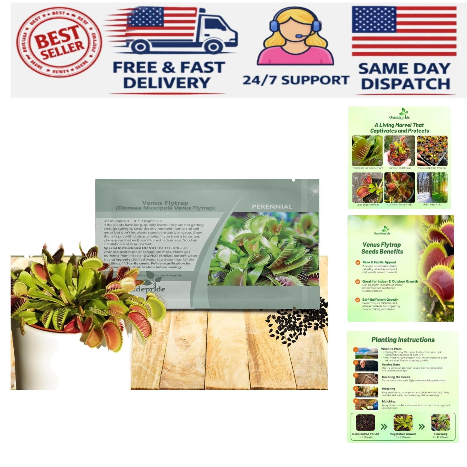 10 Pcs Organic Venus Flytrap Seeds – Low Maintenance Houseplants for Terrariums